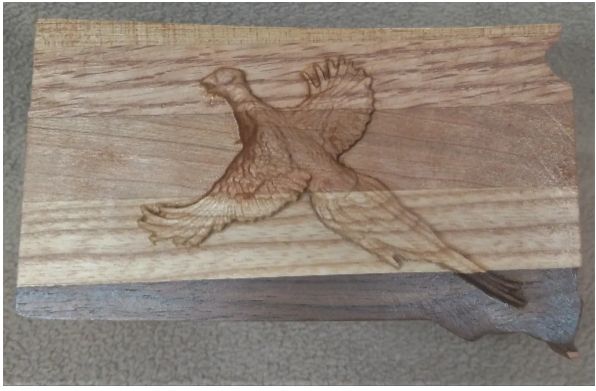 Pheasant on South Dakota (small)