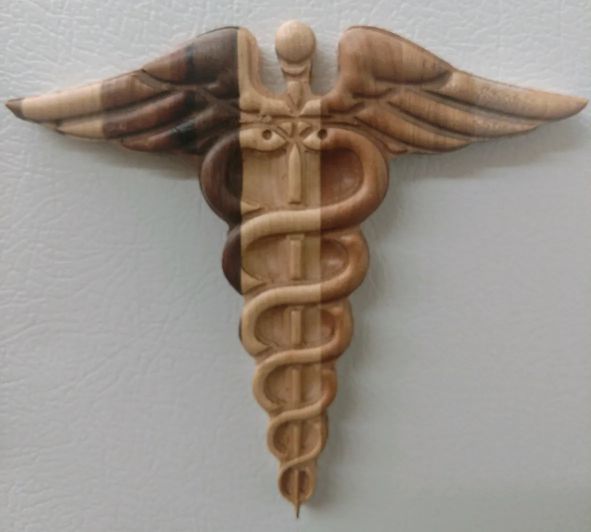 Caduceus Fridge Magnets