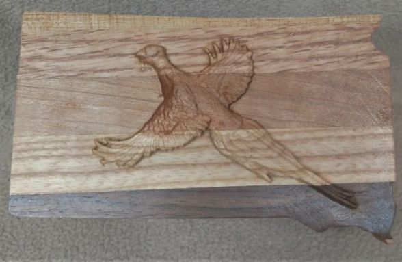 Pheasant on South Dakota Fridge Magnet