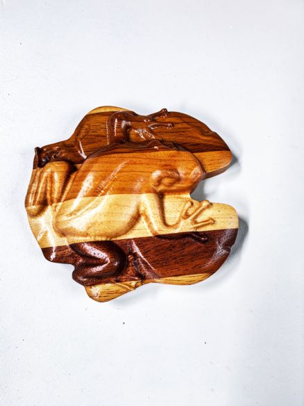 Frog on Lily Pad Frig Magnet