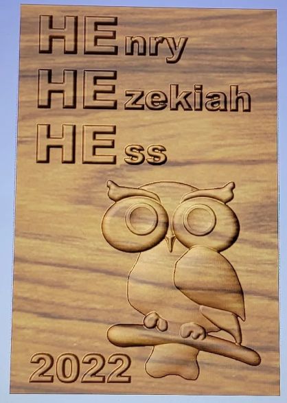Custom Ordered Baby Name and Owl Plaque