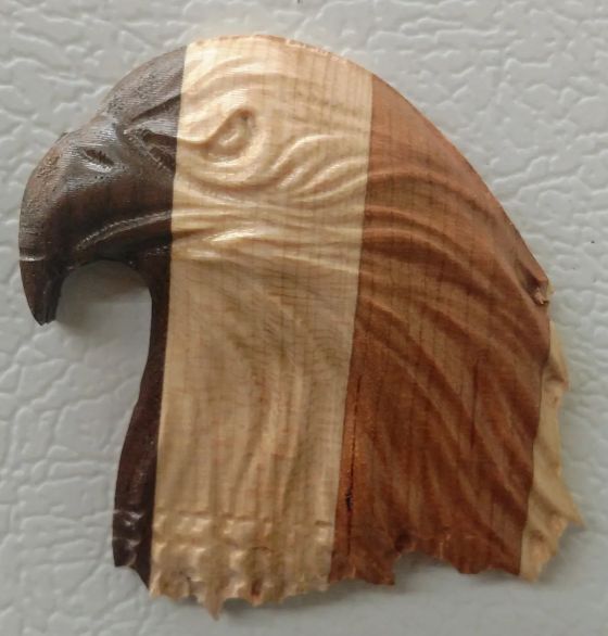 Eagle Head Fridge Magnet