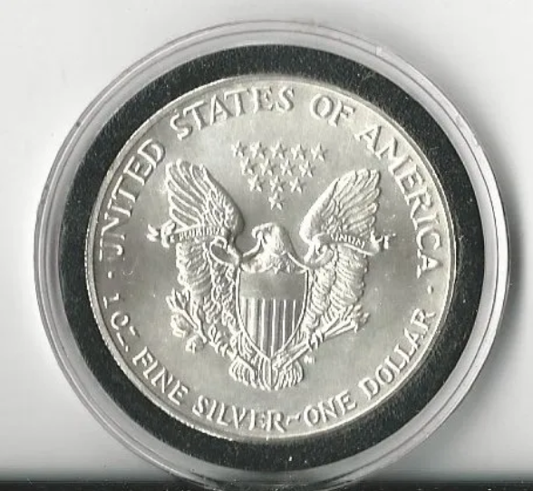 1986 Silver Eagle