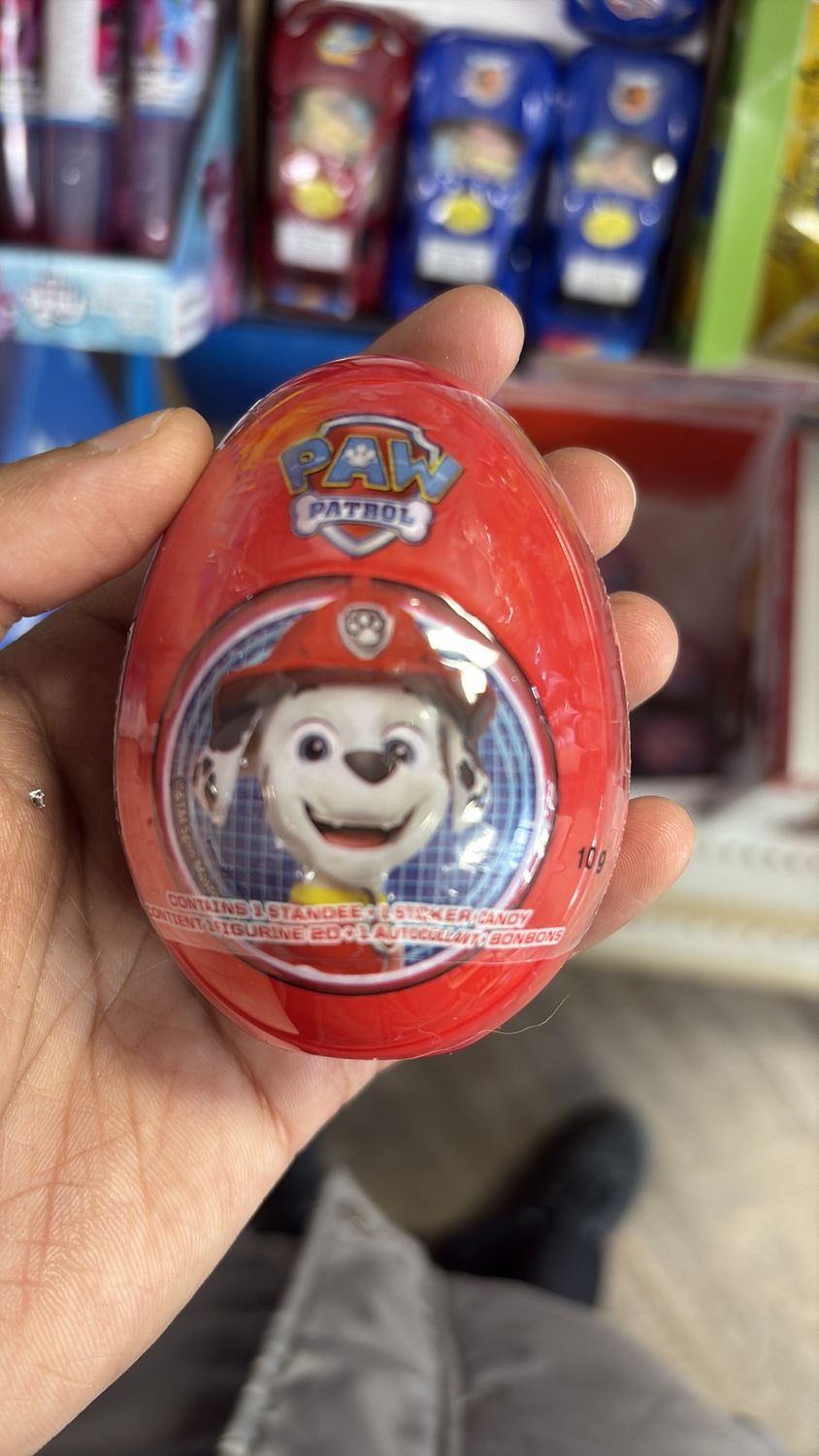 Paw patrol 10 g
