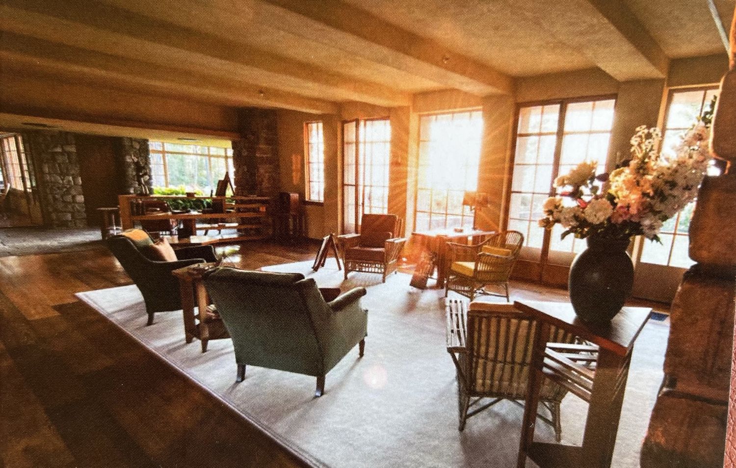 Living Room Solstice Postcard