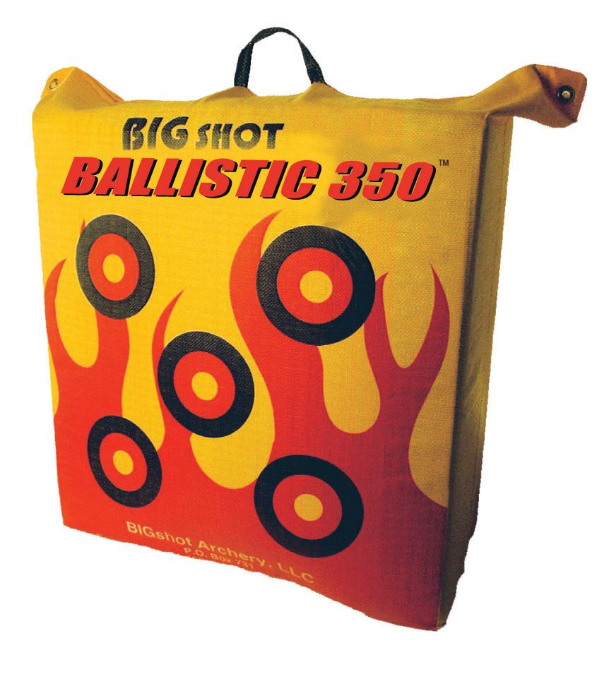 Big Shot Ballistic Bag Target