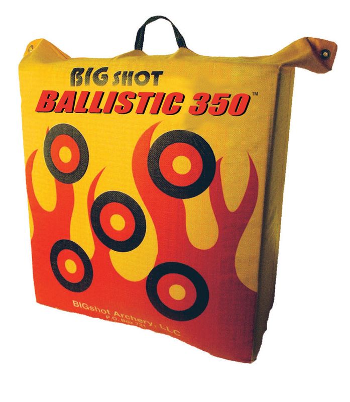 Big Shot Ballistic Bag Target