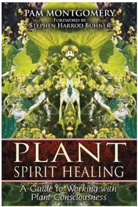 Plant Spirit Healing book