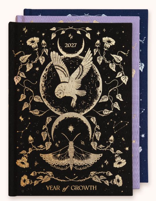 2027 Year of Growth Dreamy Moons