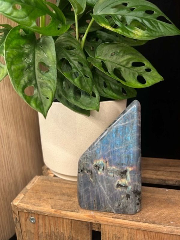 Labradorite freeforms