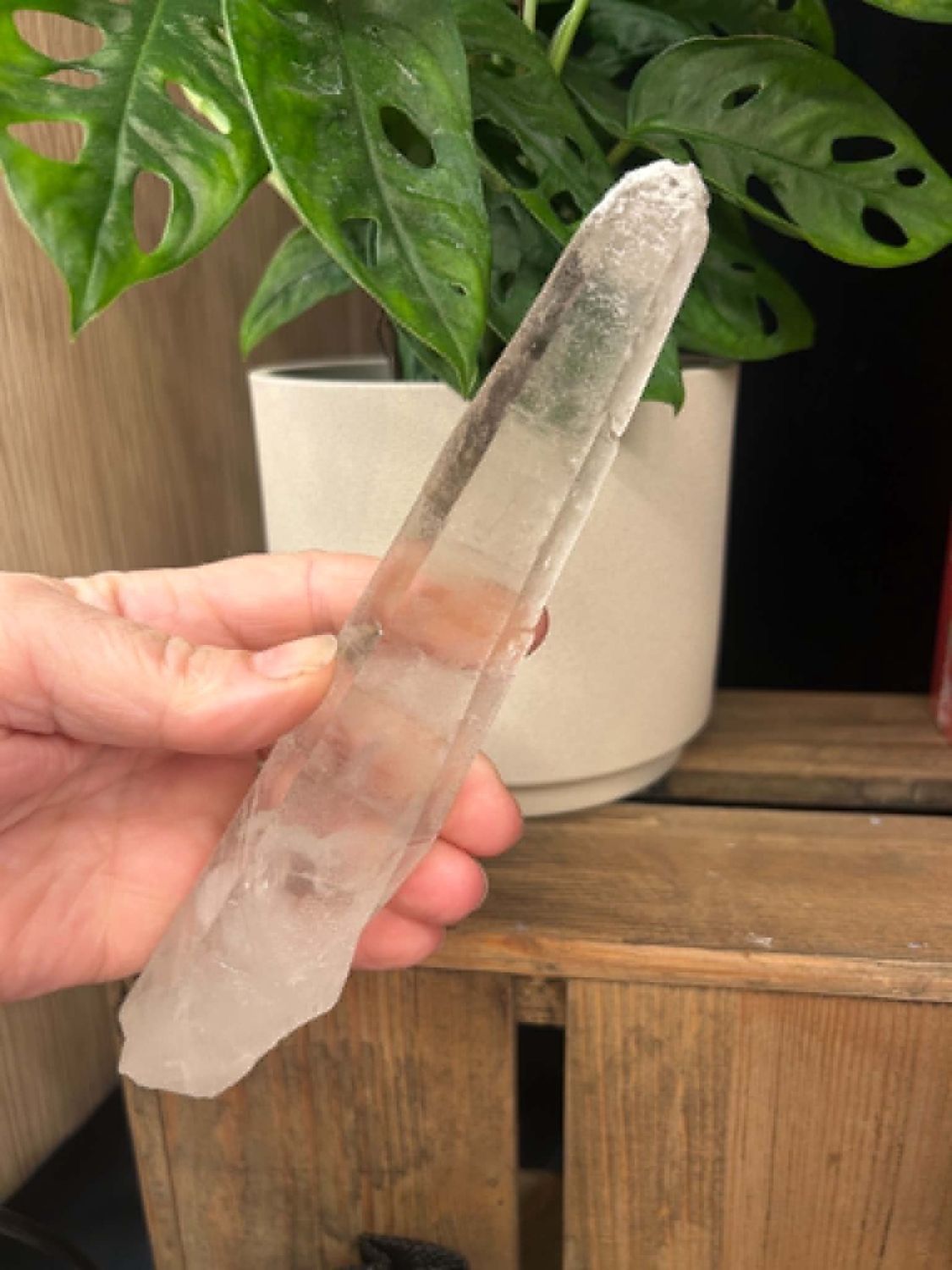 Lemurian Seed self healed wands