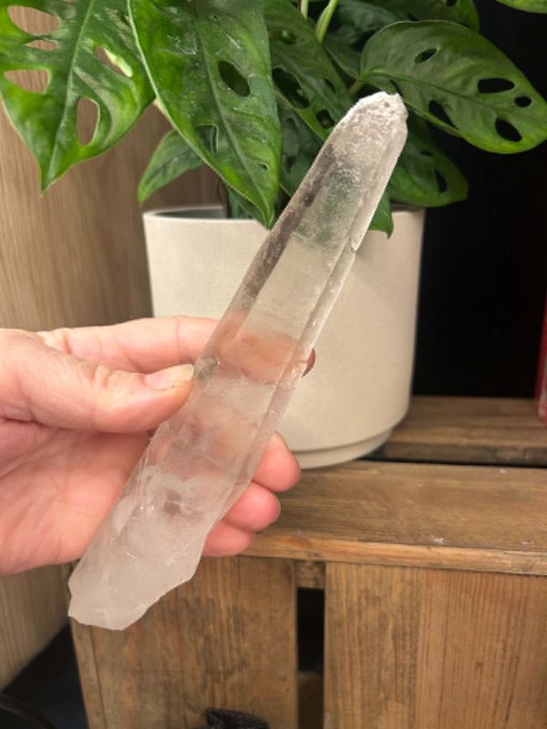 Lemurian Seed self healed wands