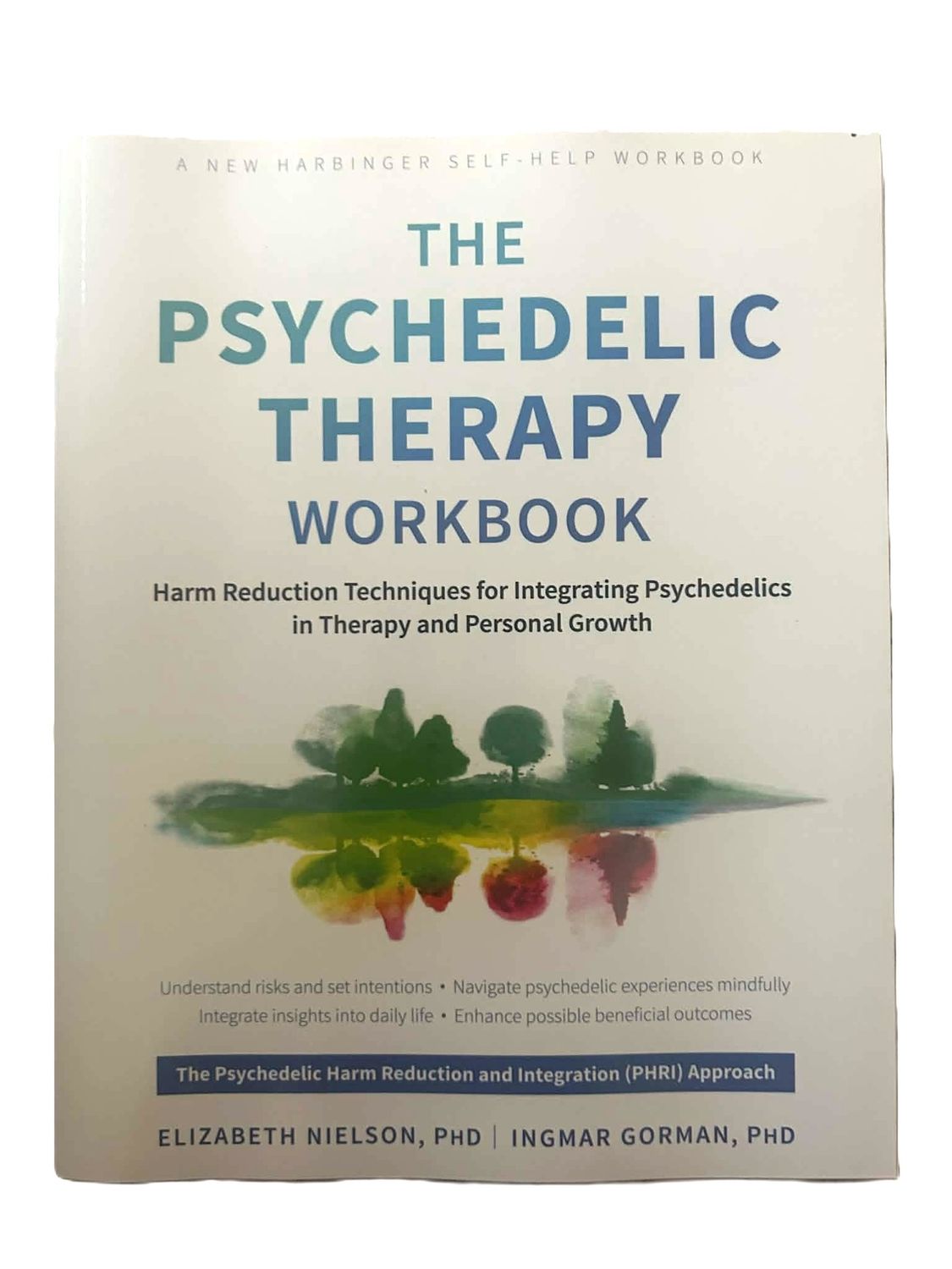 The Psychedelic Therapy workbook