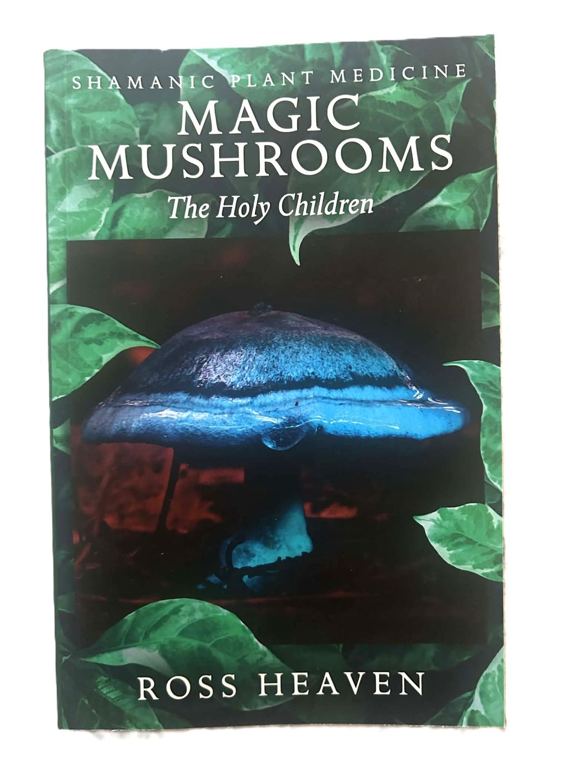 Magic Mushrooms the holy children book