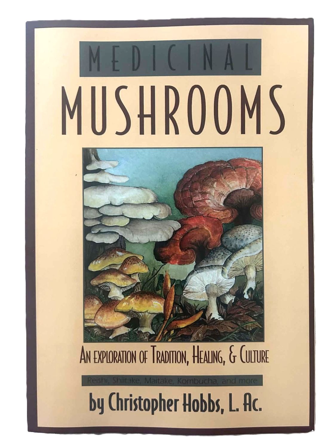Medicinal Mushrooms book