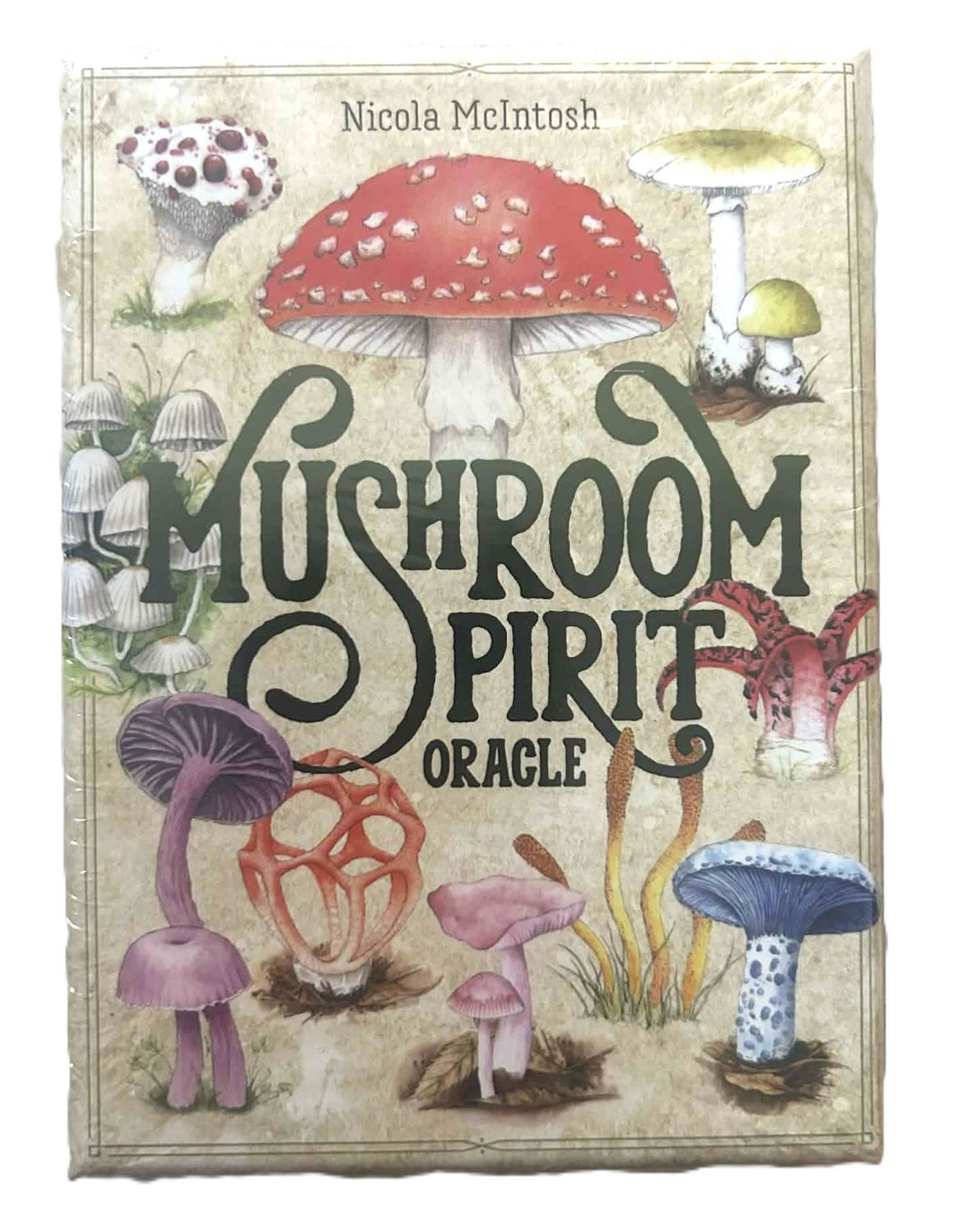 Mushroom Spirit Oracle Cards