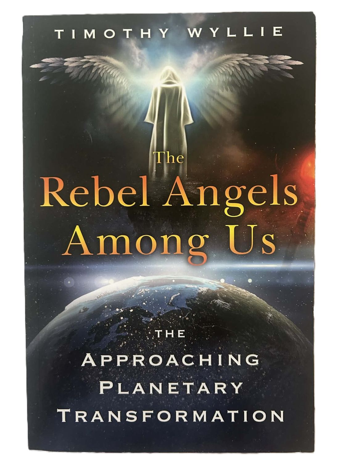 The Rebel Angels Among us book