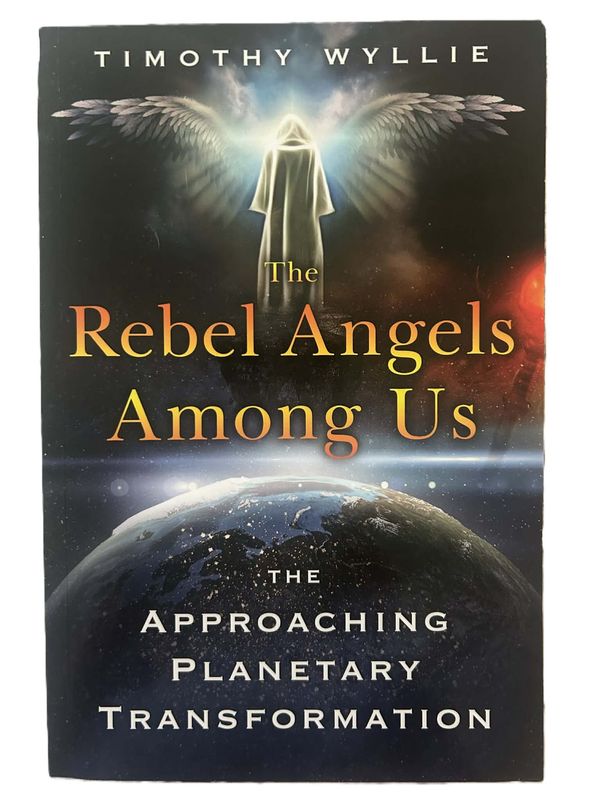 The Rebel Angels Among us book