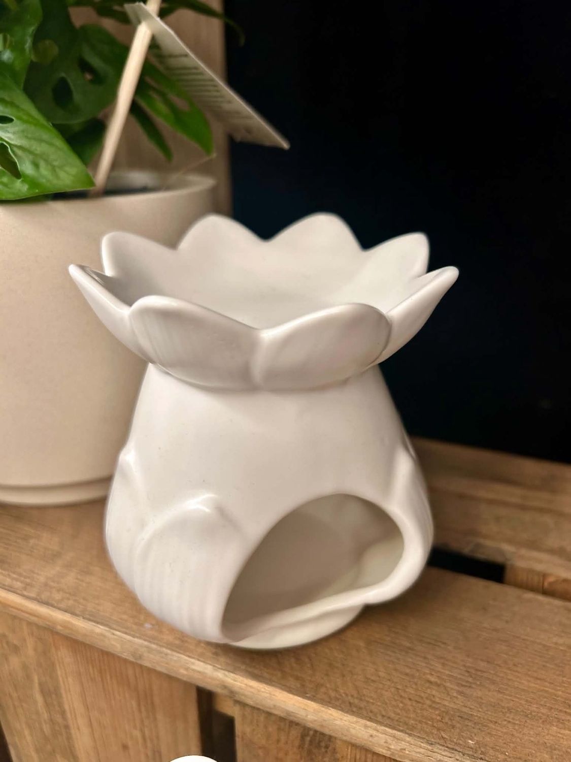White Lotus Flower Oil Burner