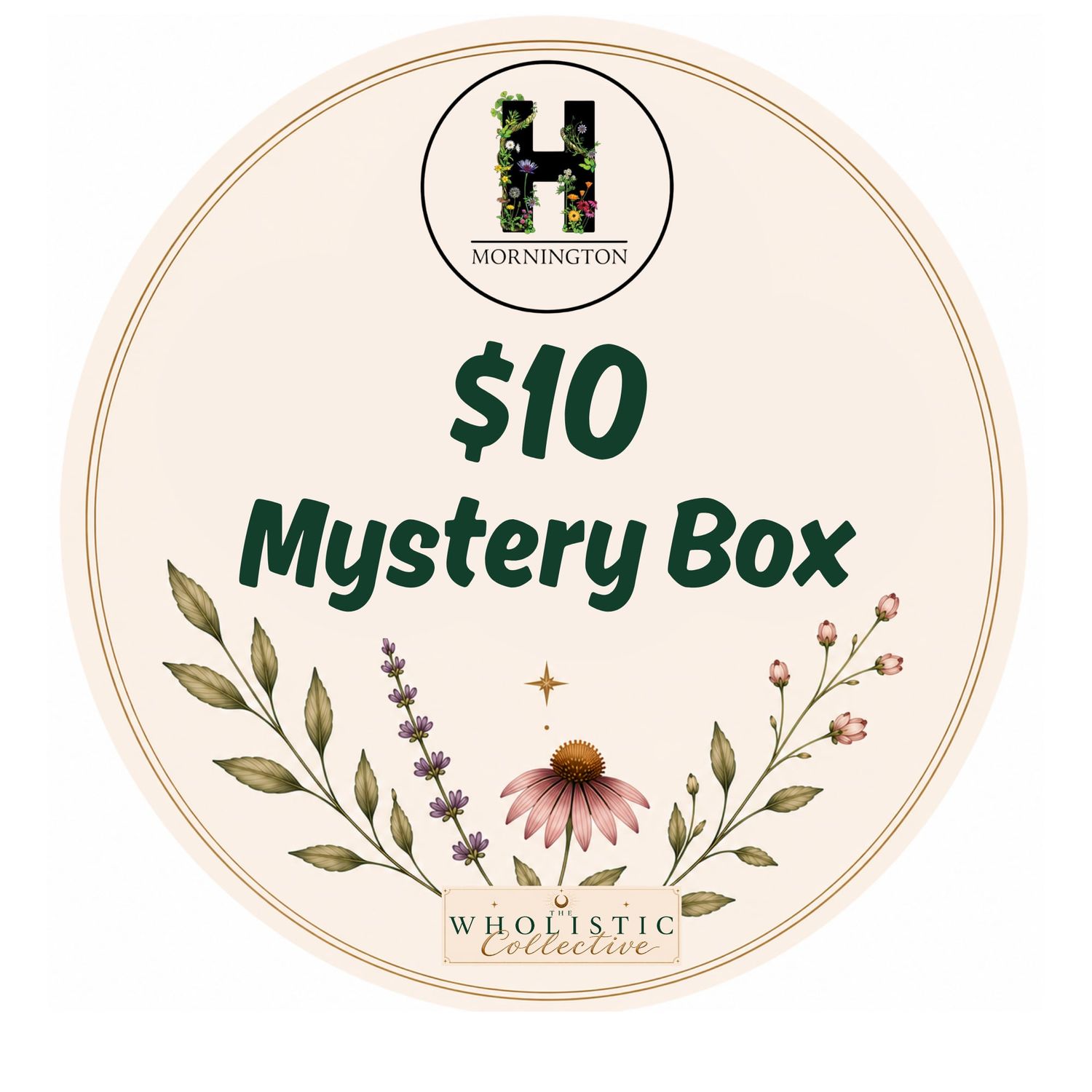 MYSTERY BOXES - $10~$20~$40