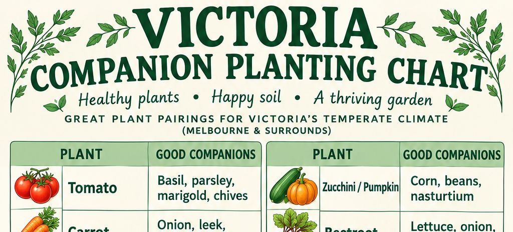 Basic Companion Planting chart