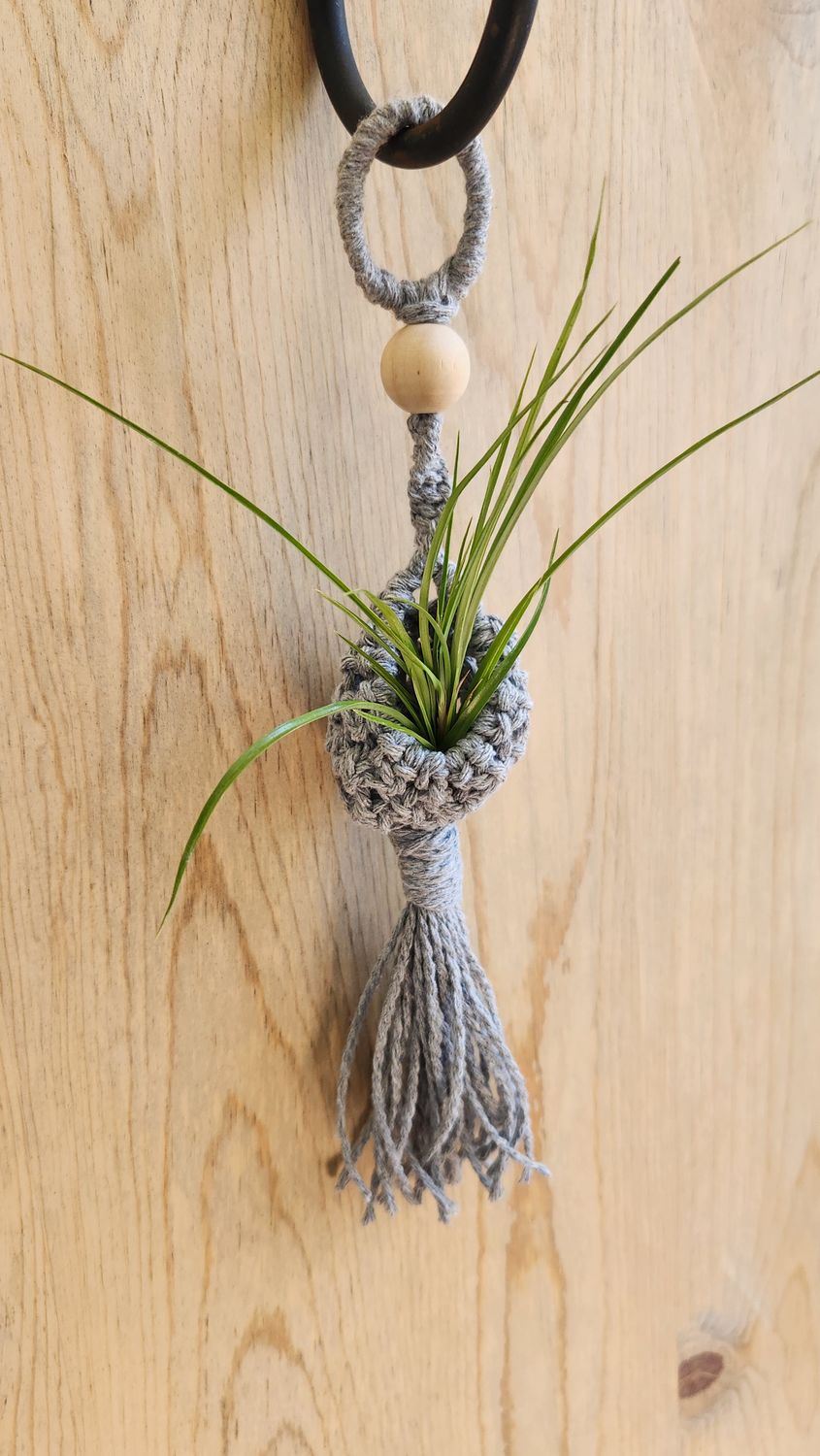 Macrame Air Plant Holder With Upcycled Twist