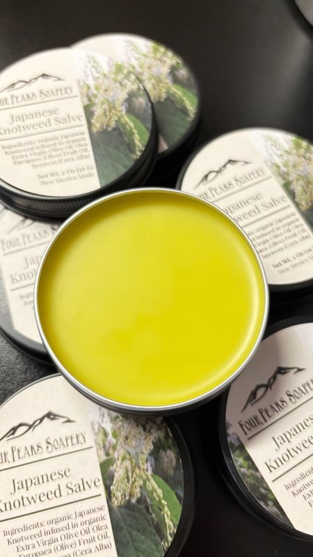 Knotweed Salve | Japanese Knotweed | 2 oz Tin