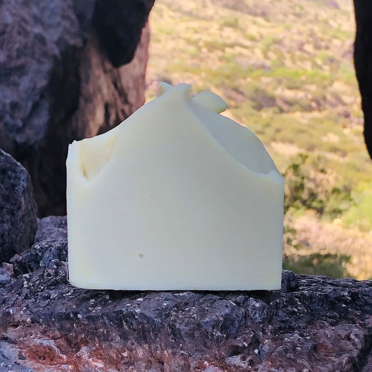 Cactus Cold Process Soap