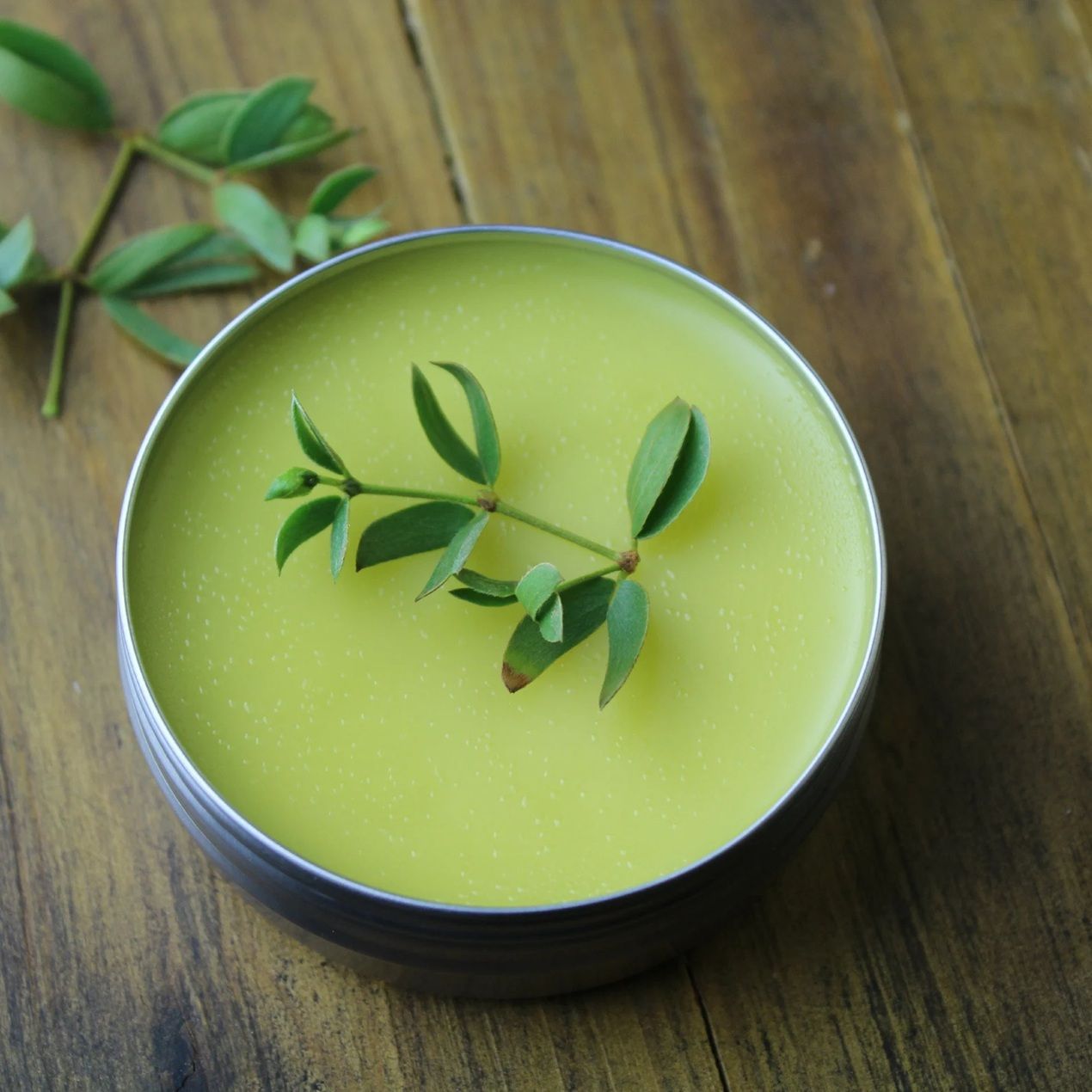 Creosote (Desert Chaparral) Salve | 2 oz. Tin + Bonus Lip Balm*