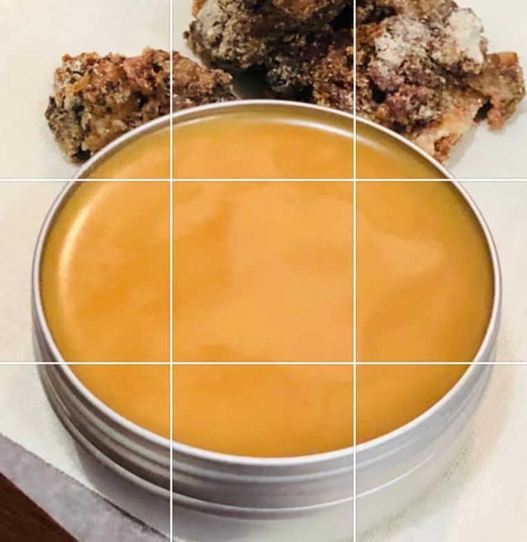 Piñon Pine Salve: Wild Harvested Sap, New Mexico, Bonus Lip Balm