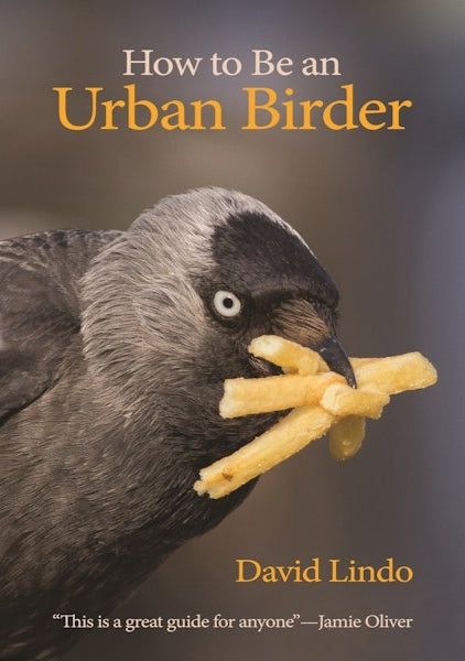 "How to be an Urban Birder" by David Lindo