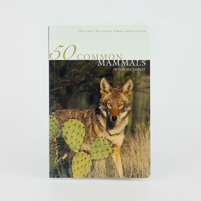 50 Common Mammals of the Southwest