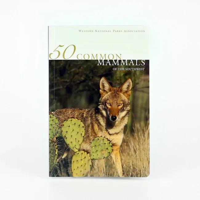 50 Common Mammals of the Southwest