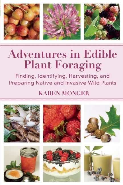 Adventures Edible Plant Foraging