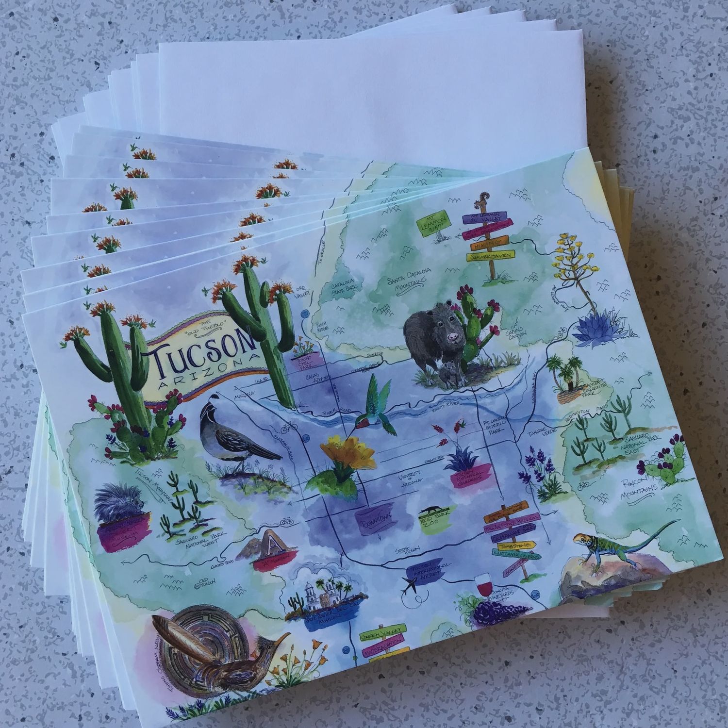 "Greetings from Tucson" - Susan E. Libby Card Set