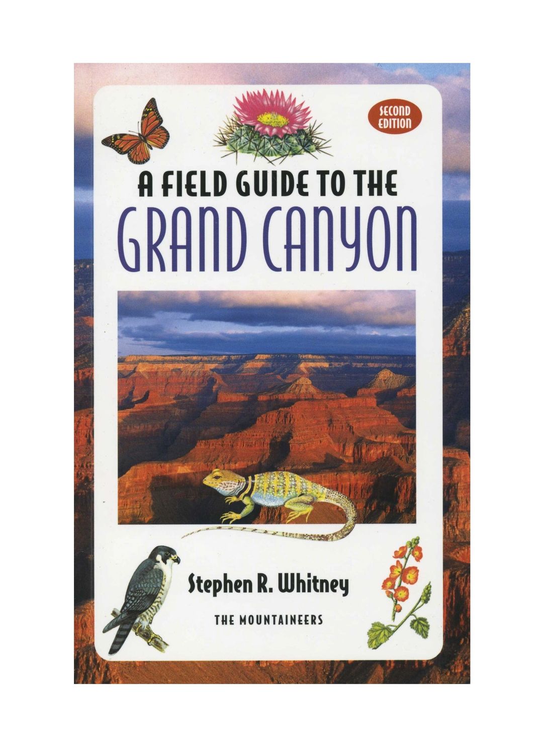 A Field Guide to the Grand Canyon