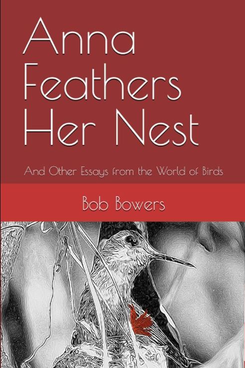 Anna Feathers Her Nest