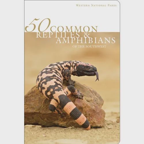 50 Common Reptiles &amp; Amphibians of the Southwest