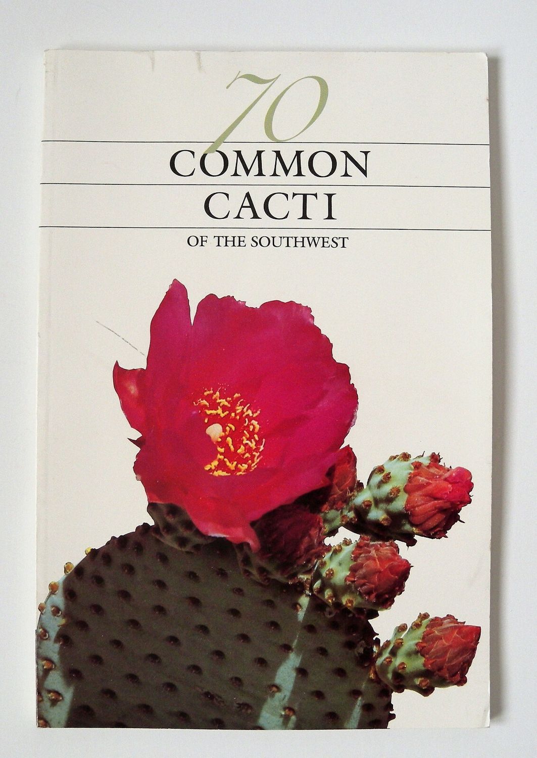 70 Common Cacti of the Southwest