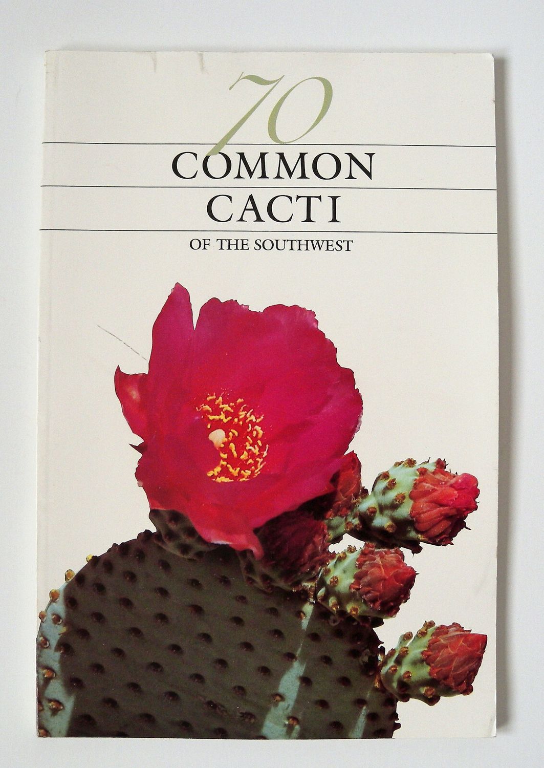 70 Common Cacti of the Southwest