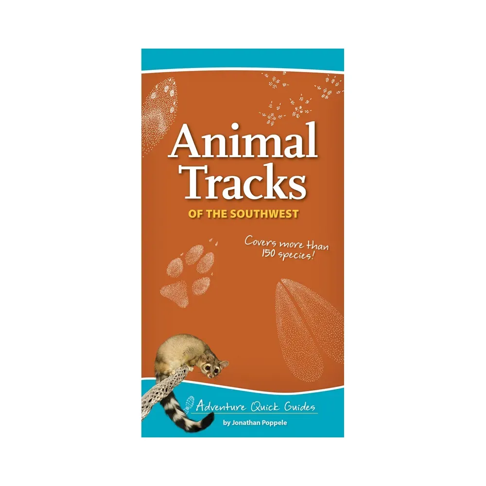 Animal Tracks of the Southwest