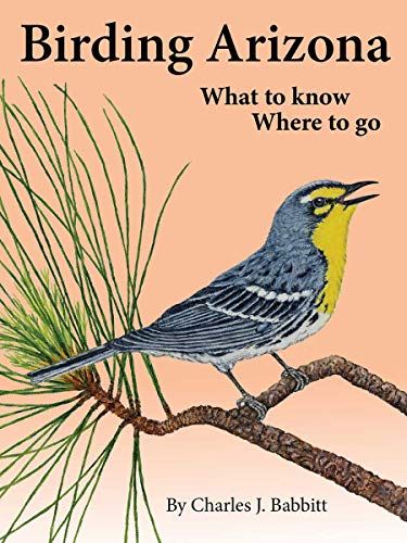 Birding Arizona