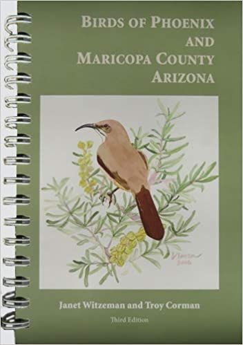 Birds of Phoenix and Maricopa County Arizona