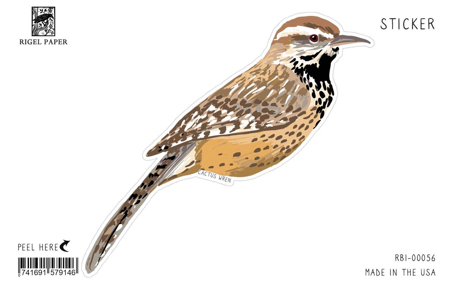Cactus Wren Bird Sticker