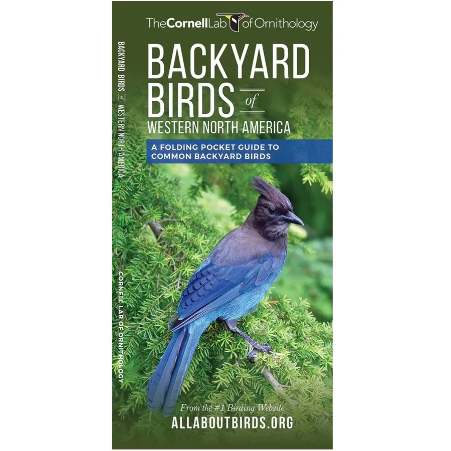 Cornell Backyard Birds of Western North America