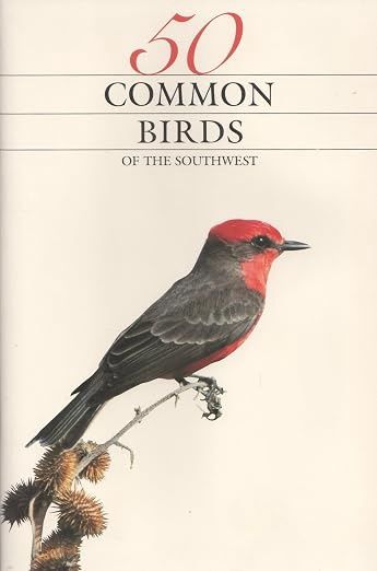 50 Common Birds of the Southwest