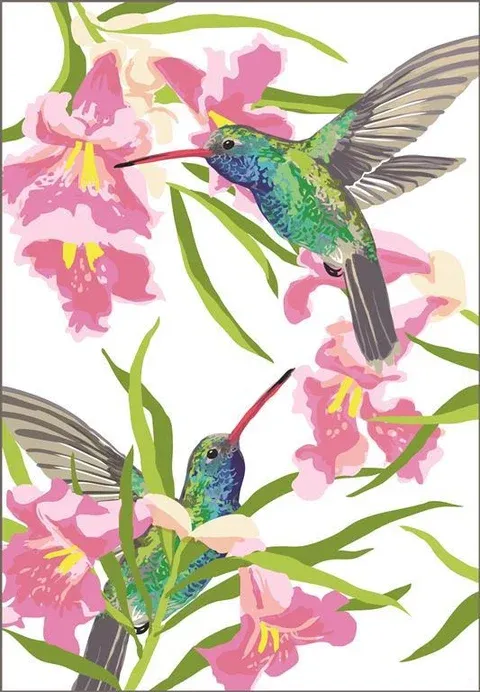 Broad-Billed Hummingbird and Desert Willow Magnet