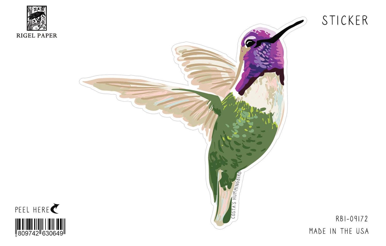 Costa's Hummingbird and Cactus Sticker
