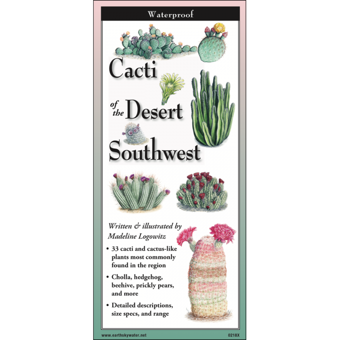 Cacti of the Desert Southwest Folding Pocket Guide