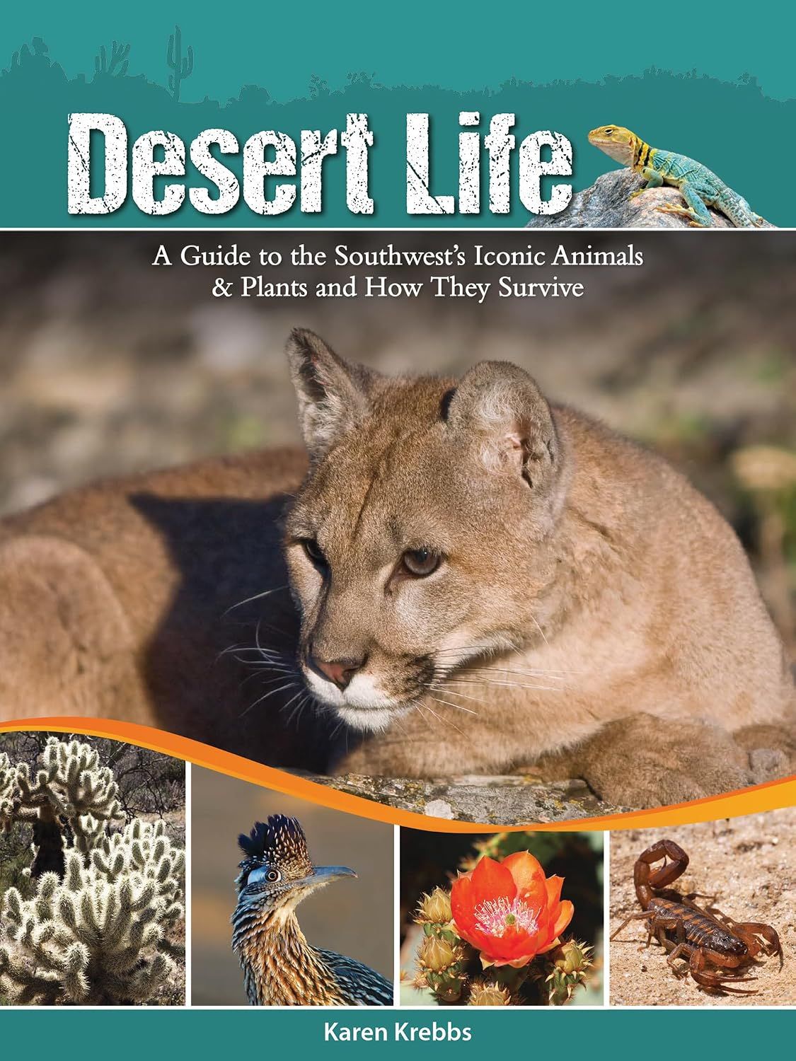Desert Life: A Guide to the Southwest's Iconic Animals &amp; Plants and How They Survive
